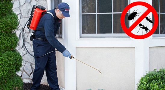 Şenpazar Gümüşkurt İlaçlama böcek ilaçlama ve haşere kontrolü — ilaclama-tr.com